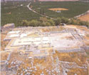 The palace