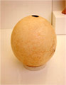 Ostrich egg